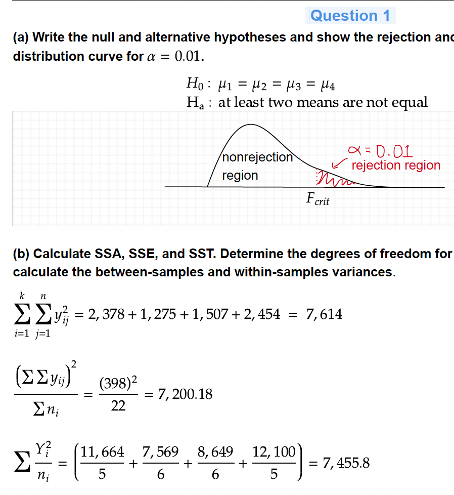 project 3 display image
